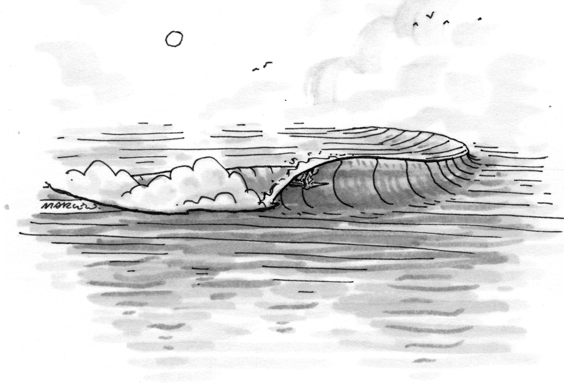 Little Surf World 5: Onda Solitaria