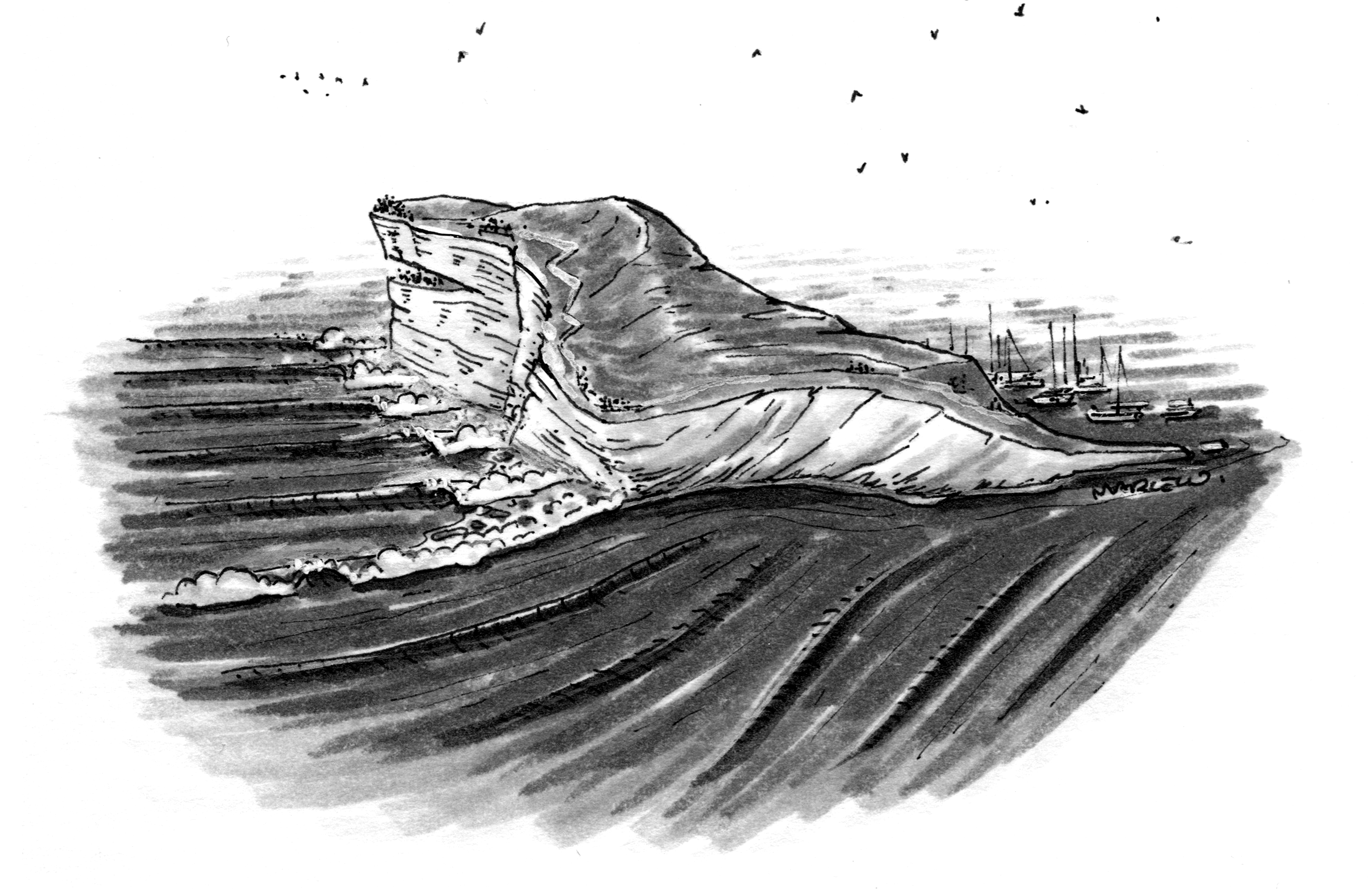 Little Surf World 15: Great White