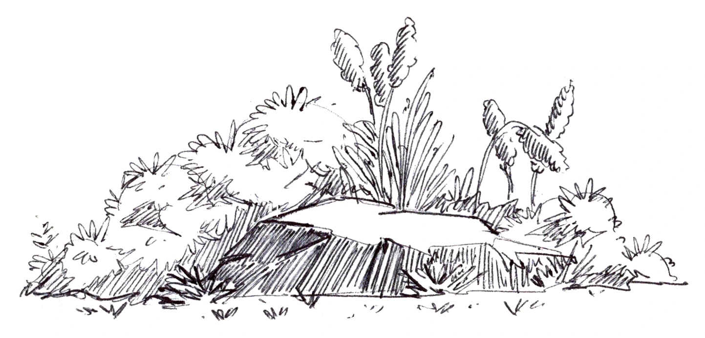 Planted berm