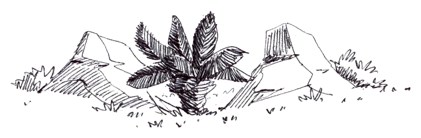 Rock mound planting