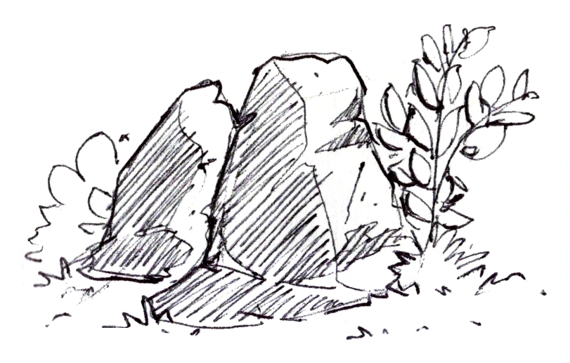 Rock outcrop with plant