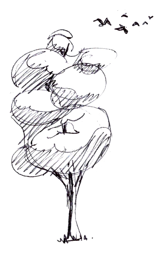 Tall tree with birds