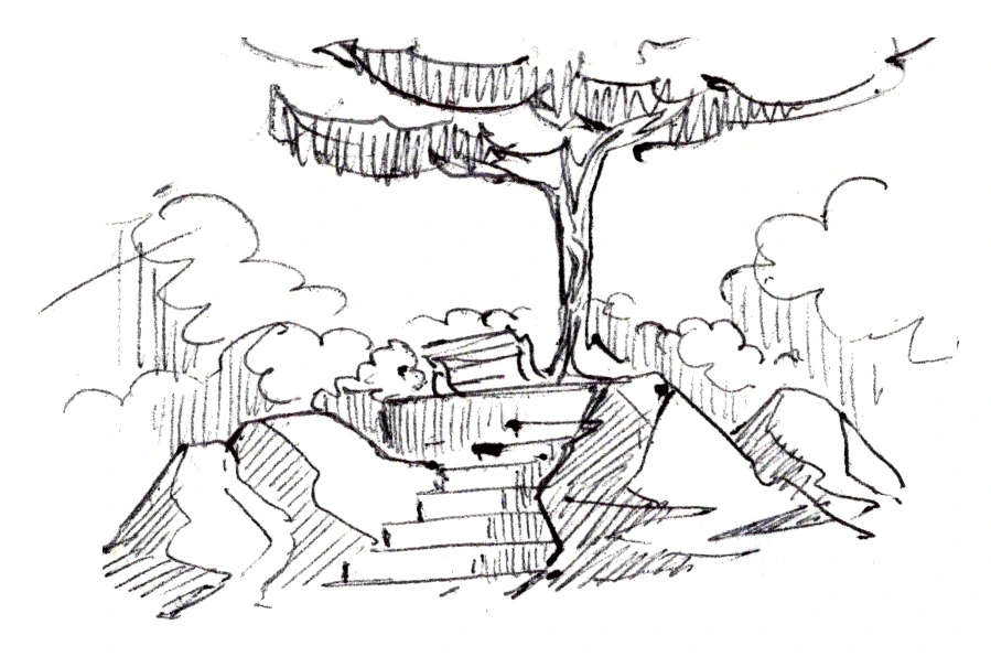 Tree on a rock terrace