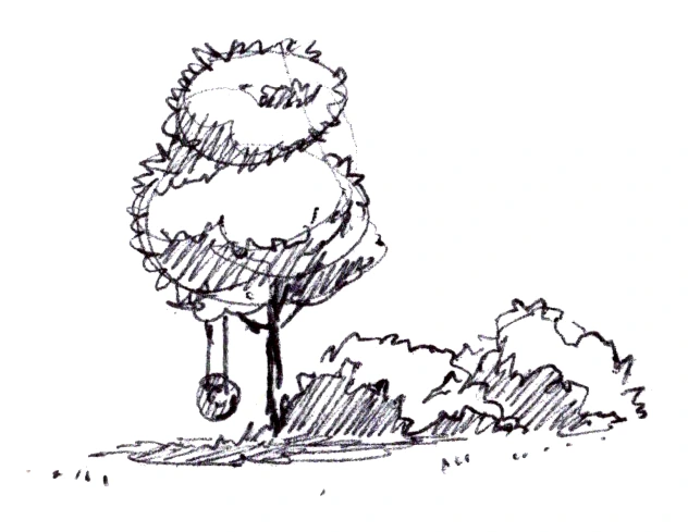 Topiary and shrubs