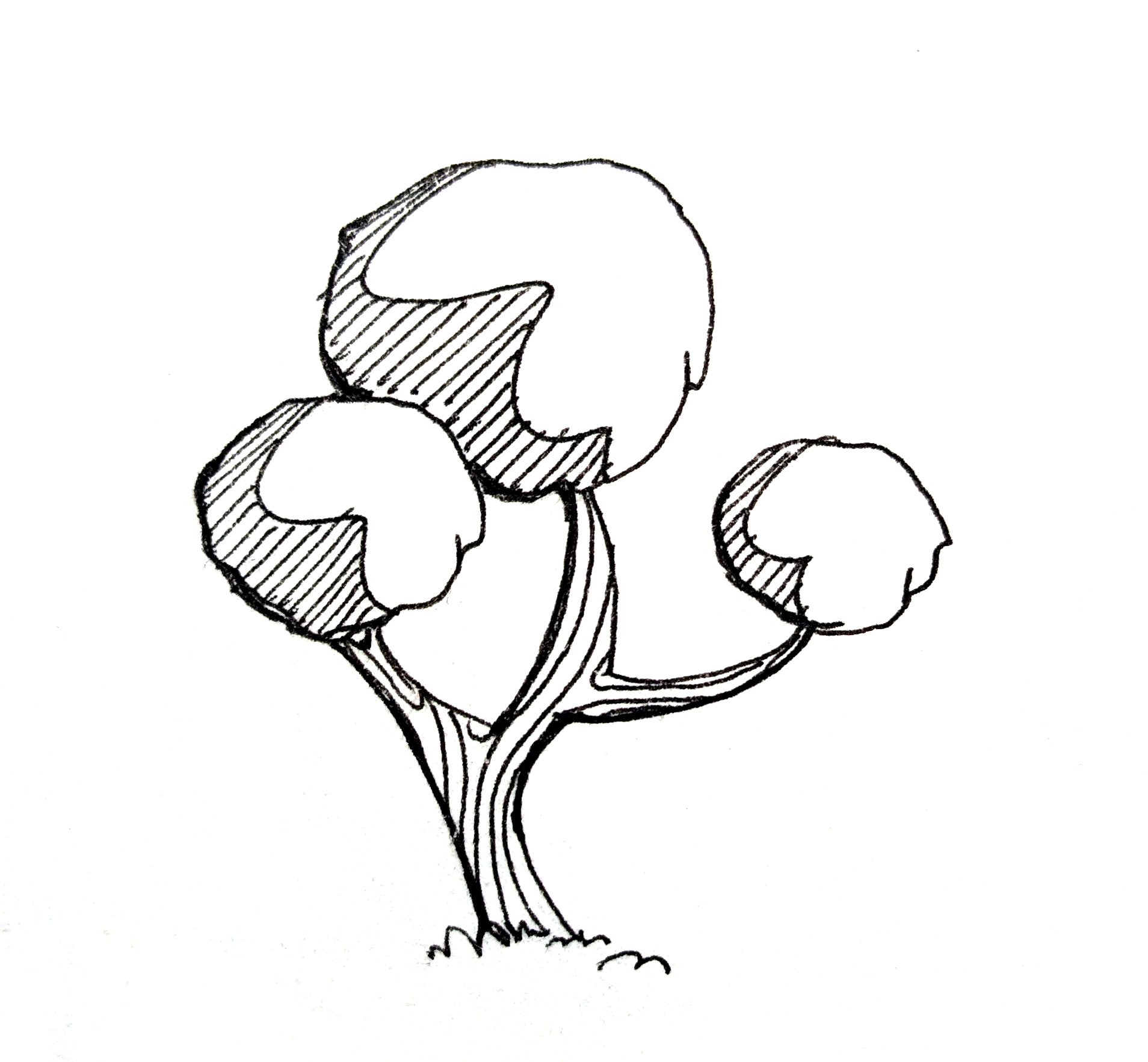 Tree study