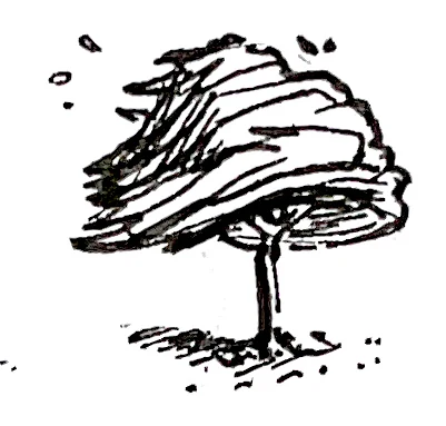 Wispy tree study