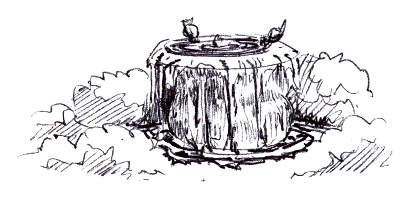 Tree stump