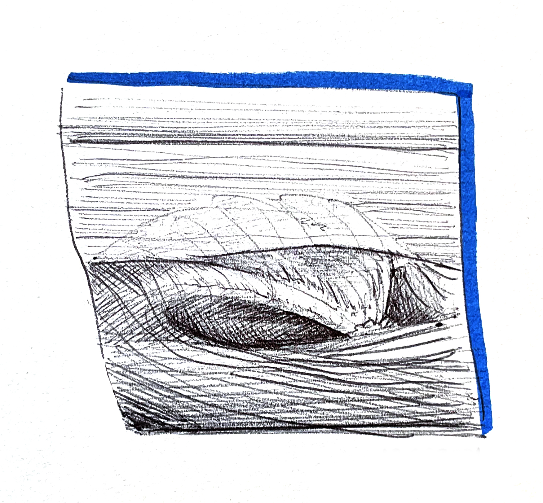 Wave stamp