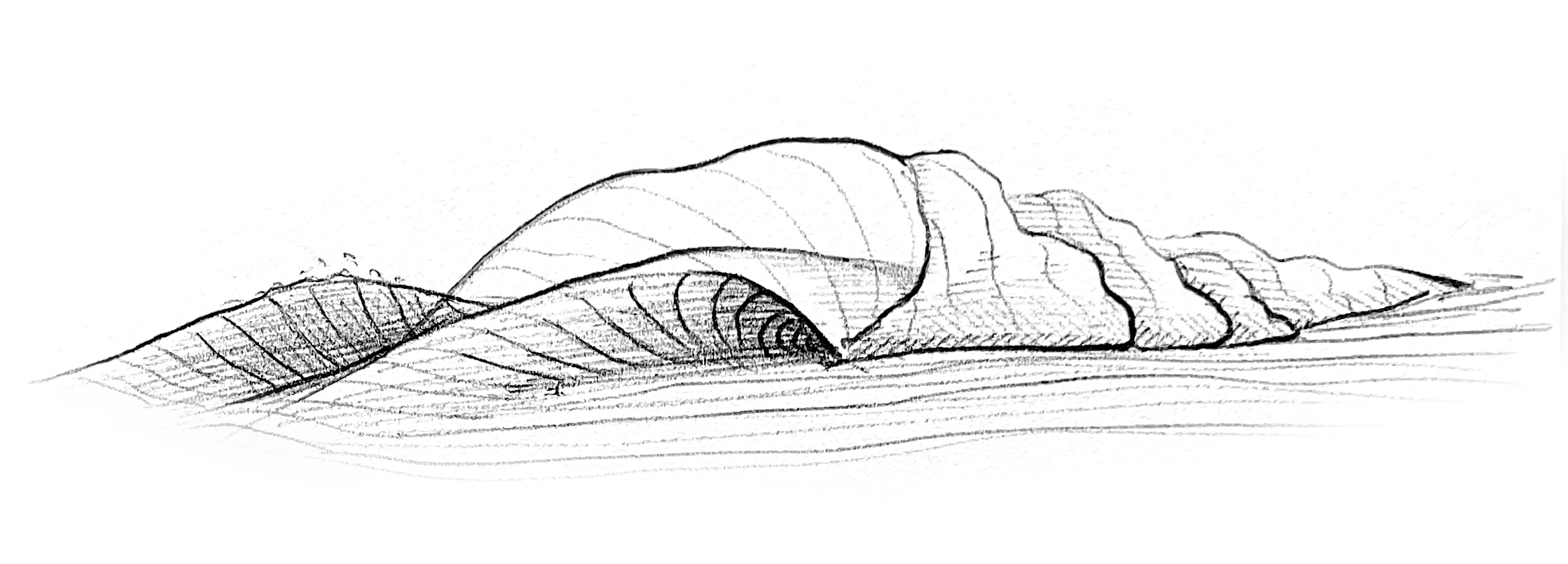 Waves study