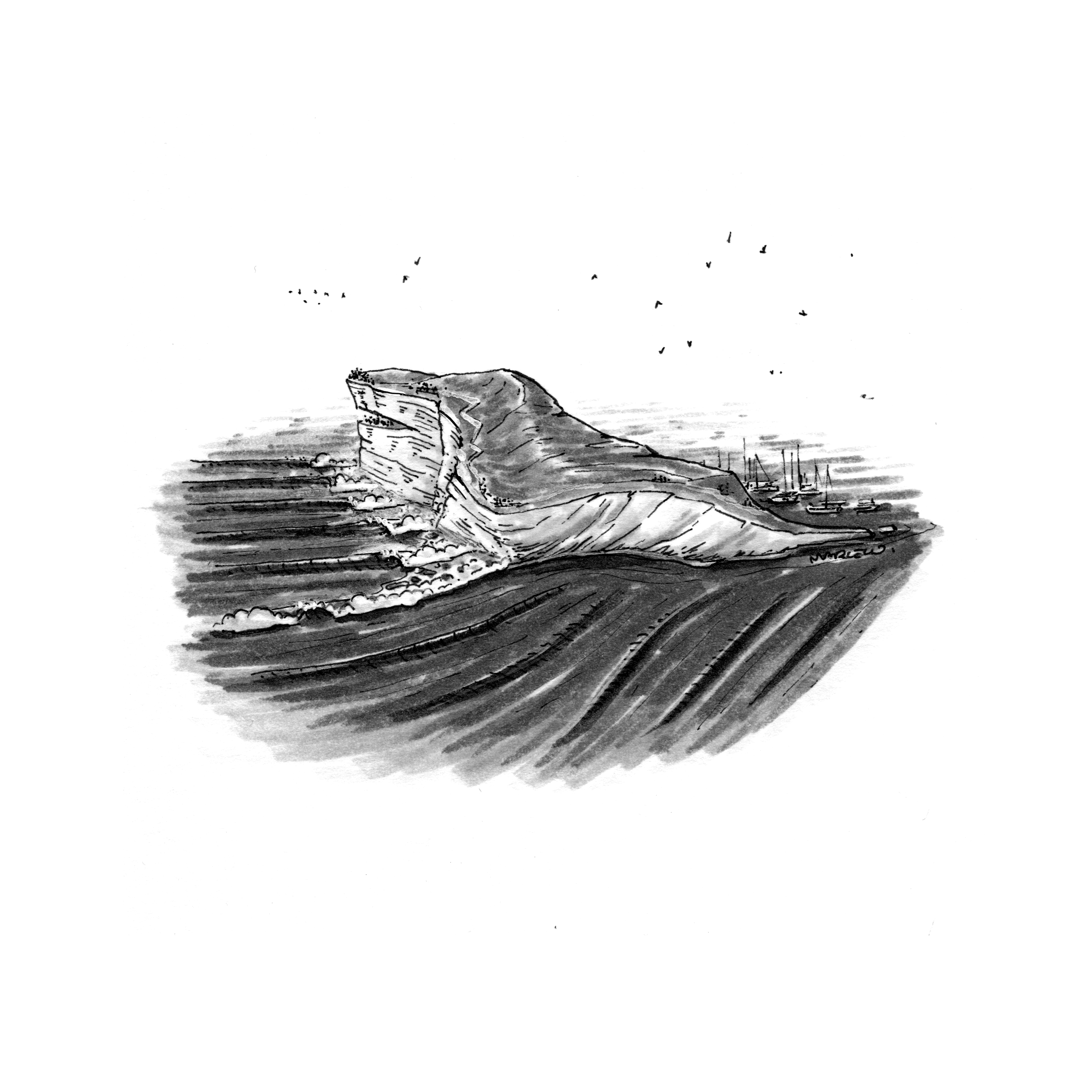 Little Surf World 15: Great White