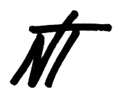 Noboa Torres logo sketch: NT monogram sketch
