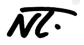 Noboa Torres logo sketch: NT monogram sketch