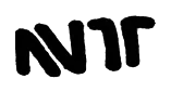 Noboa Torres logo sketch: bold NT logo study