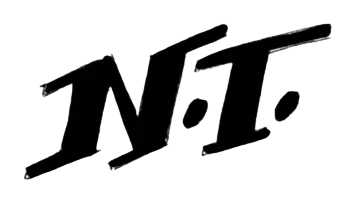 Noboa Torres logo sketch: bold NT logo study
