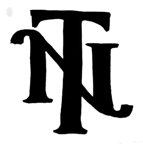 Noboa Torres logo sketch: bold NT logo study