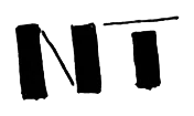 Noboa Torres logo sketch: bold NT logo study