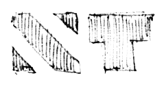 Noboa Torres logo sketch: bold NT logo study