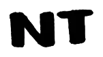 Noboa Torres logo sketch: bold NT logo study