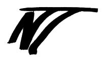 Noboa Torres logo sketch: NT monogram sketch