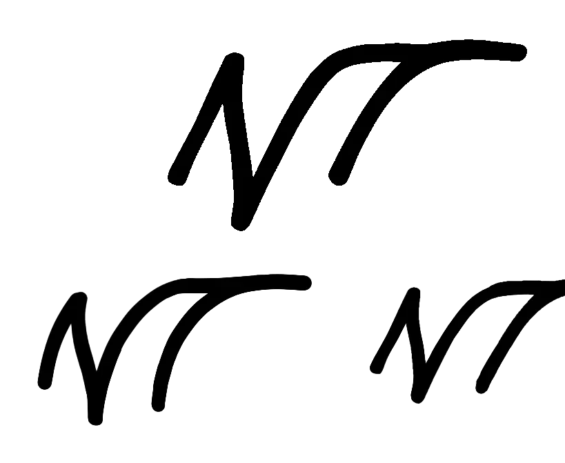 Noboa Torres logo sketch: Noboa Torres signature study