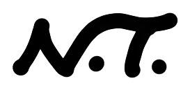 Noboa Torres logo sketch: Noboa Torres signature study