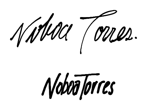 Noboa Torres logo sketch: Noboa Torres signature study