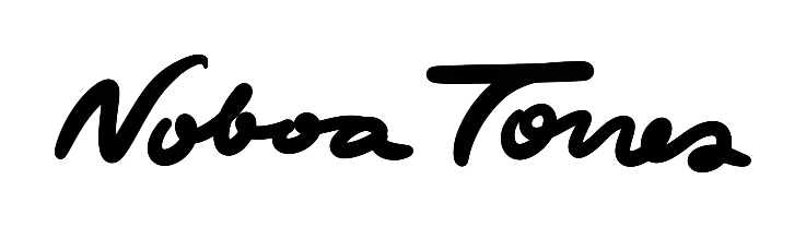 Noboa Torres logo sketch: Noboa Torres signature study