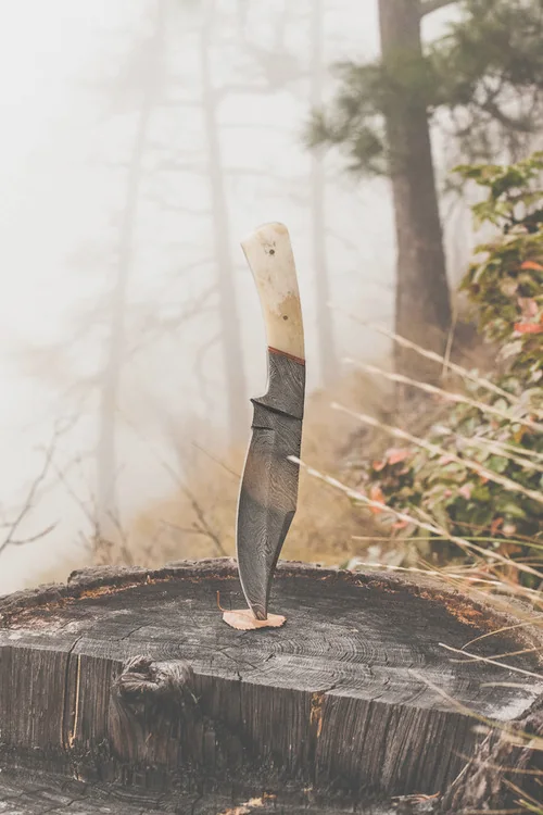Moodboard reference: knife standing in a tree stump in the fog