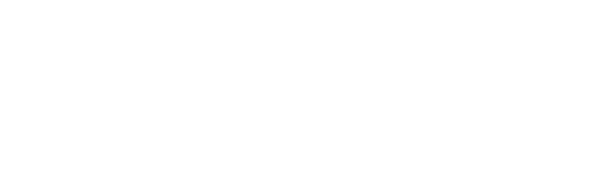 rogue wordmark
