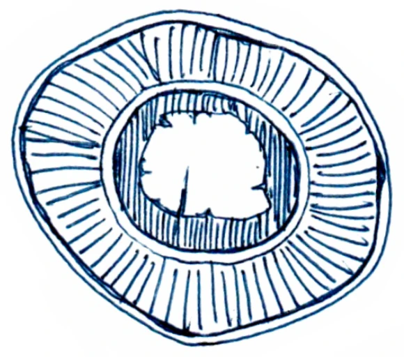 Rogue logo sketch: concentric circle stamp