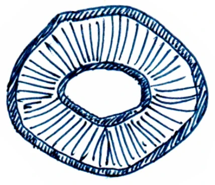 Rogue logo sketch: concentric oval stamp