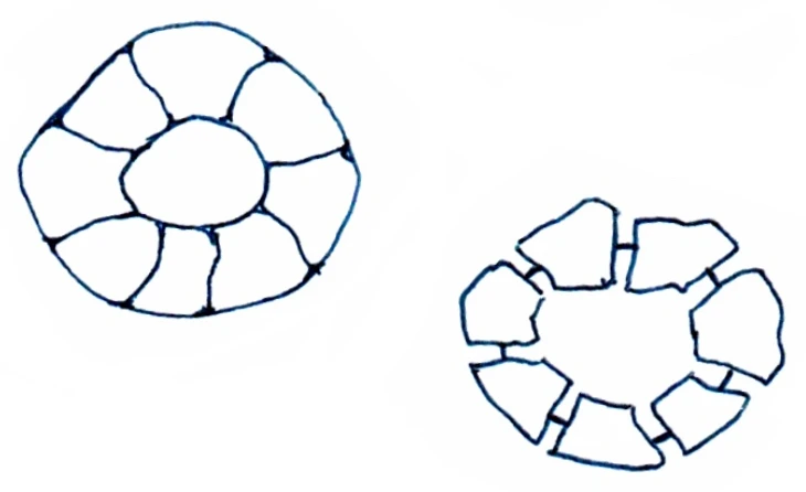 Rogue logo sketch: rosette and broken-ring motifs