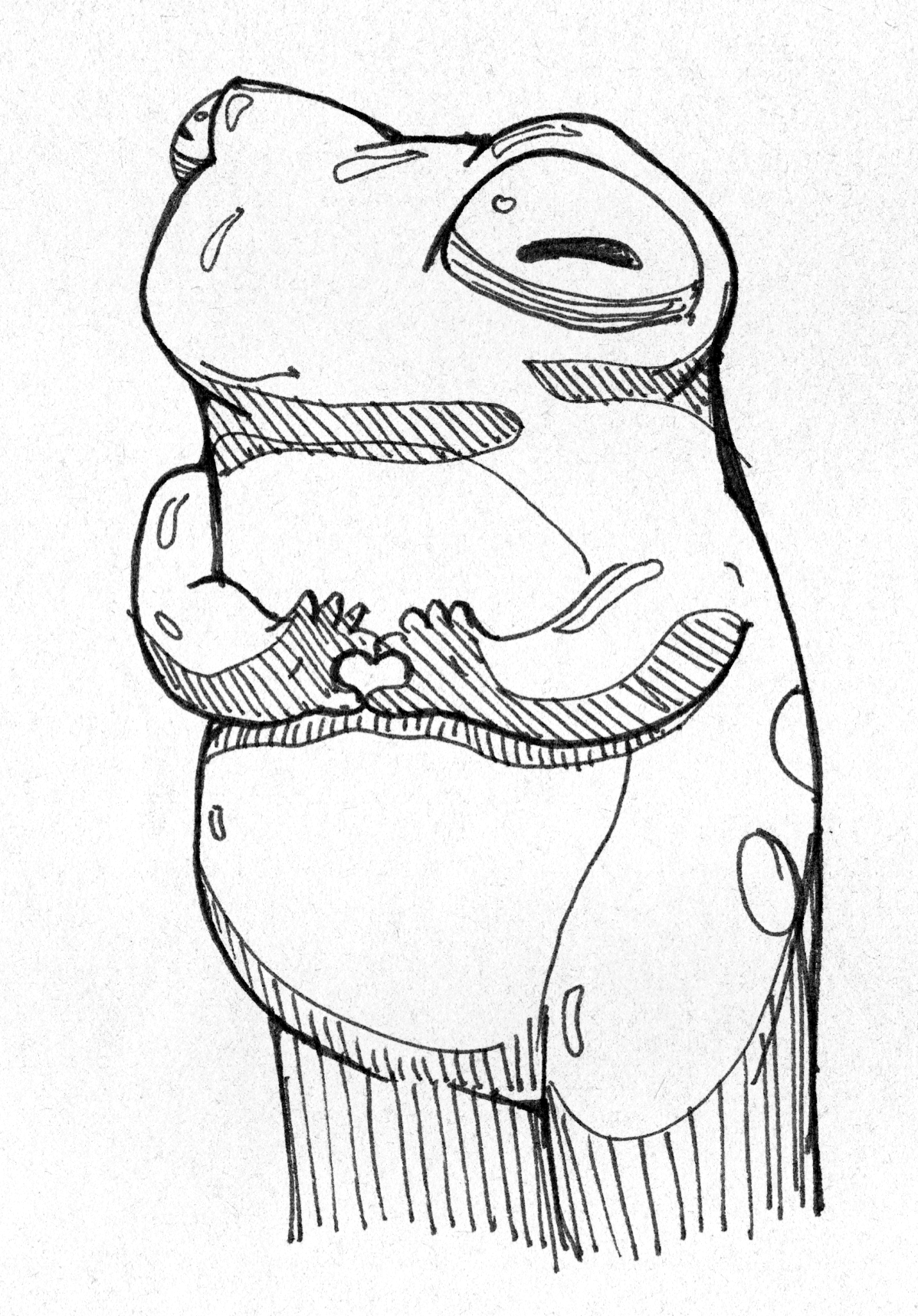 Frog heart
