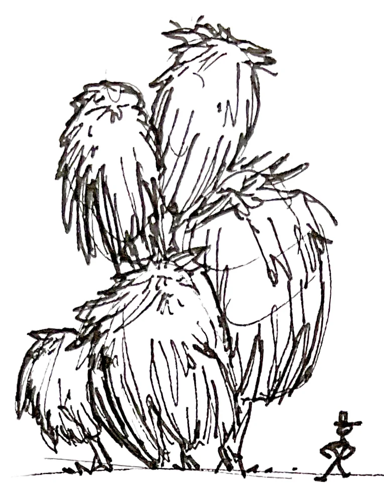 Feathery trees study