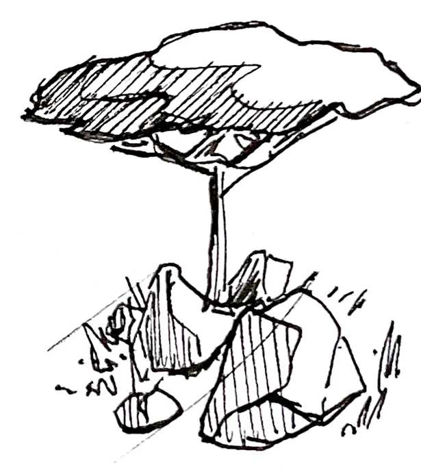 Flat-top acacia and rocks study